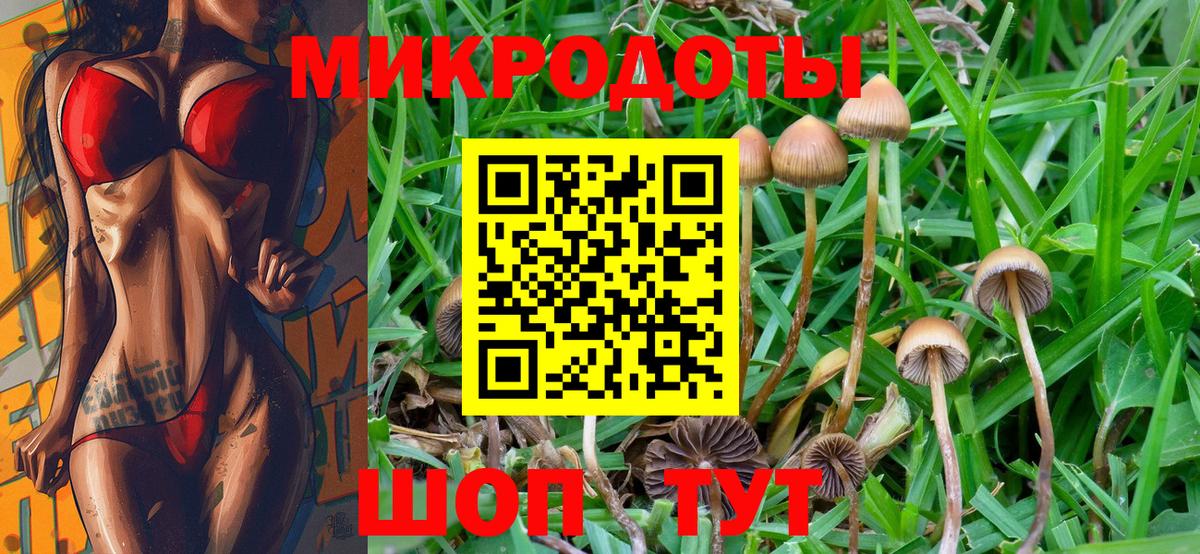 Галлюциногенные грибы мицелий Можга