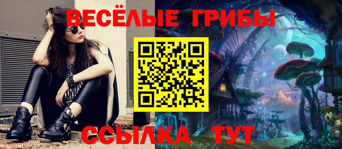 дарнет шоп  Галлюциногенные грибы ЛСД  Вход с VPN  Можга 